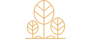 RESTAURANT LA FORET