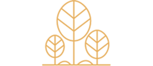 RESTAURANT LA FORET